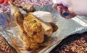 Tired of the same meals? How does a cornish hen sounds? Now you can make your own using Emeril AirFryer Cornish Hens Recipe!