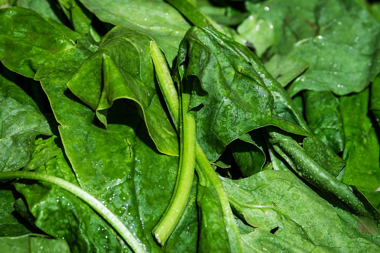 Indian Summer Spinach