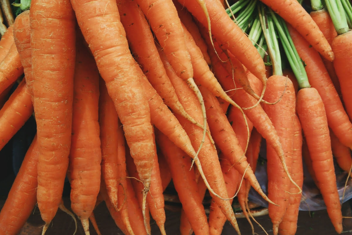 Merida carrot