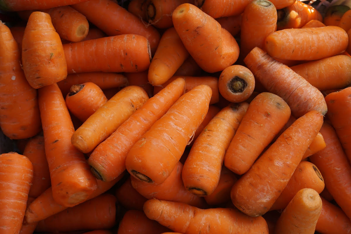 Nantes carrots