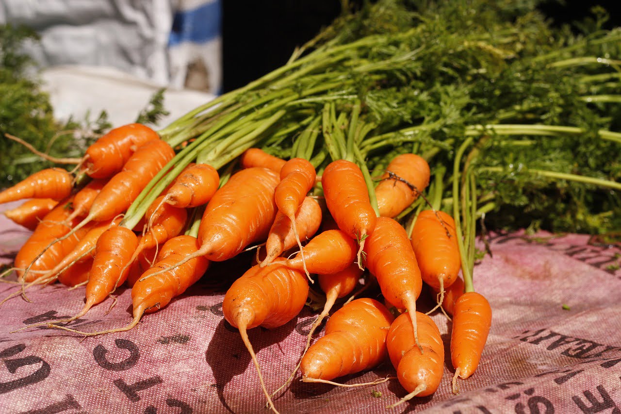 Nelson Carrot