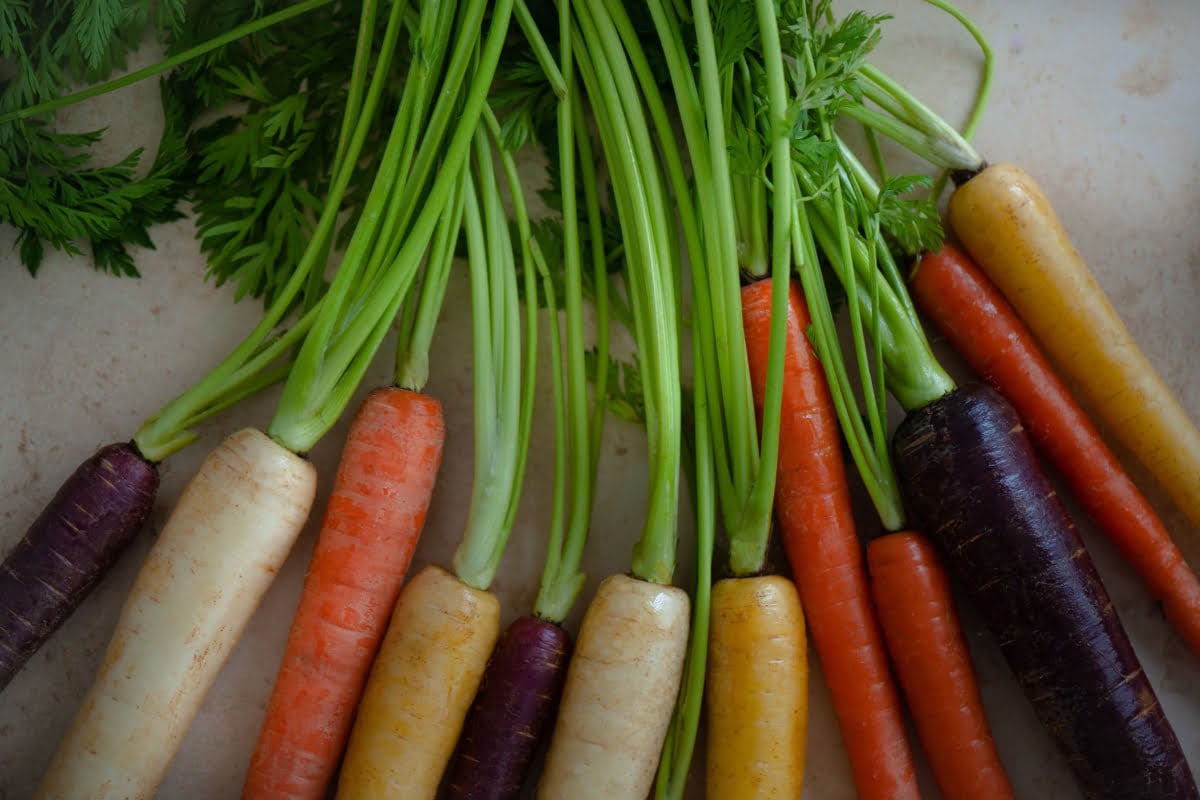 Types Of Carrots