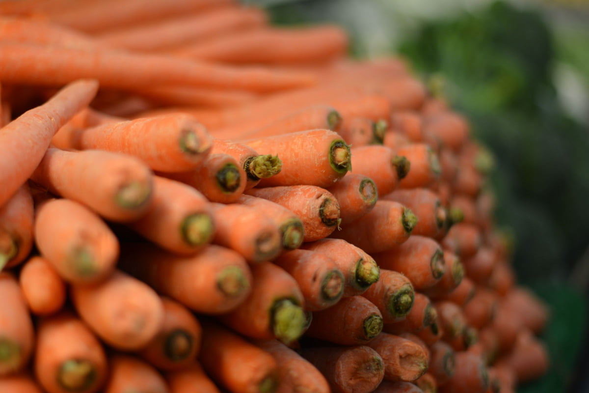 bolero carrots