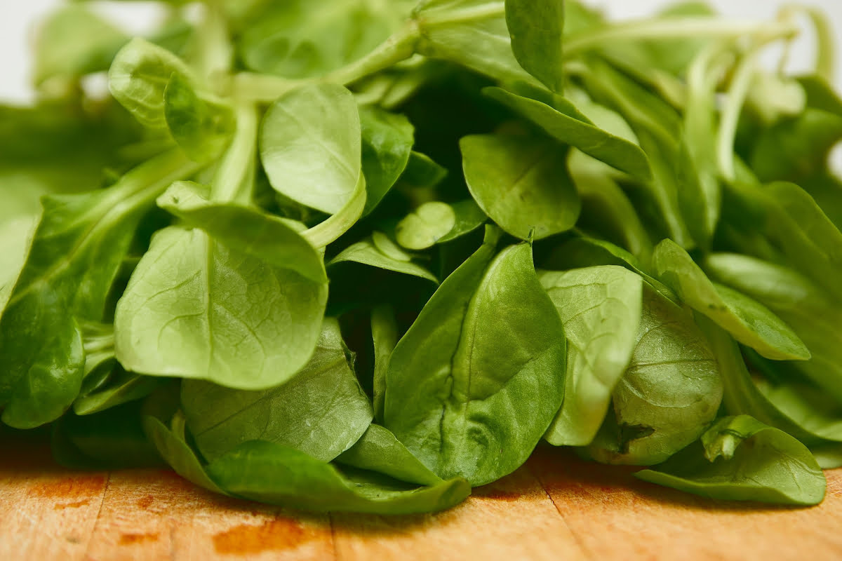 smooth leaf Spinach